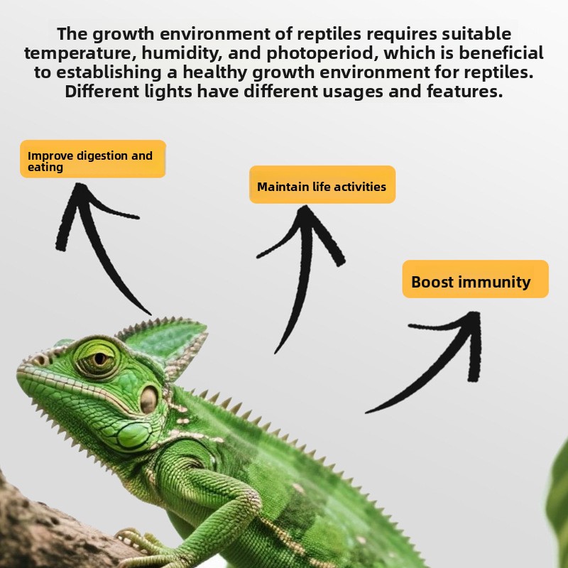 หลอดไฟอัลตราไวโอเลตสำหรับสัตว์ - Gecko Lighting & Decor บทวิจารณ์และราคา