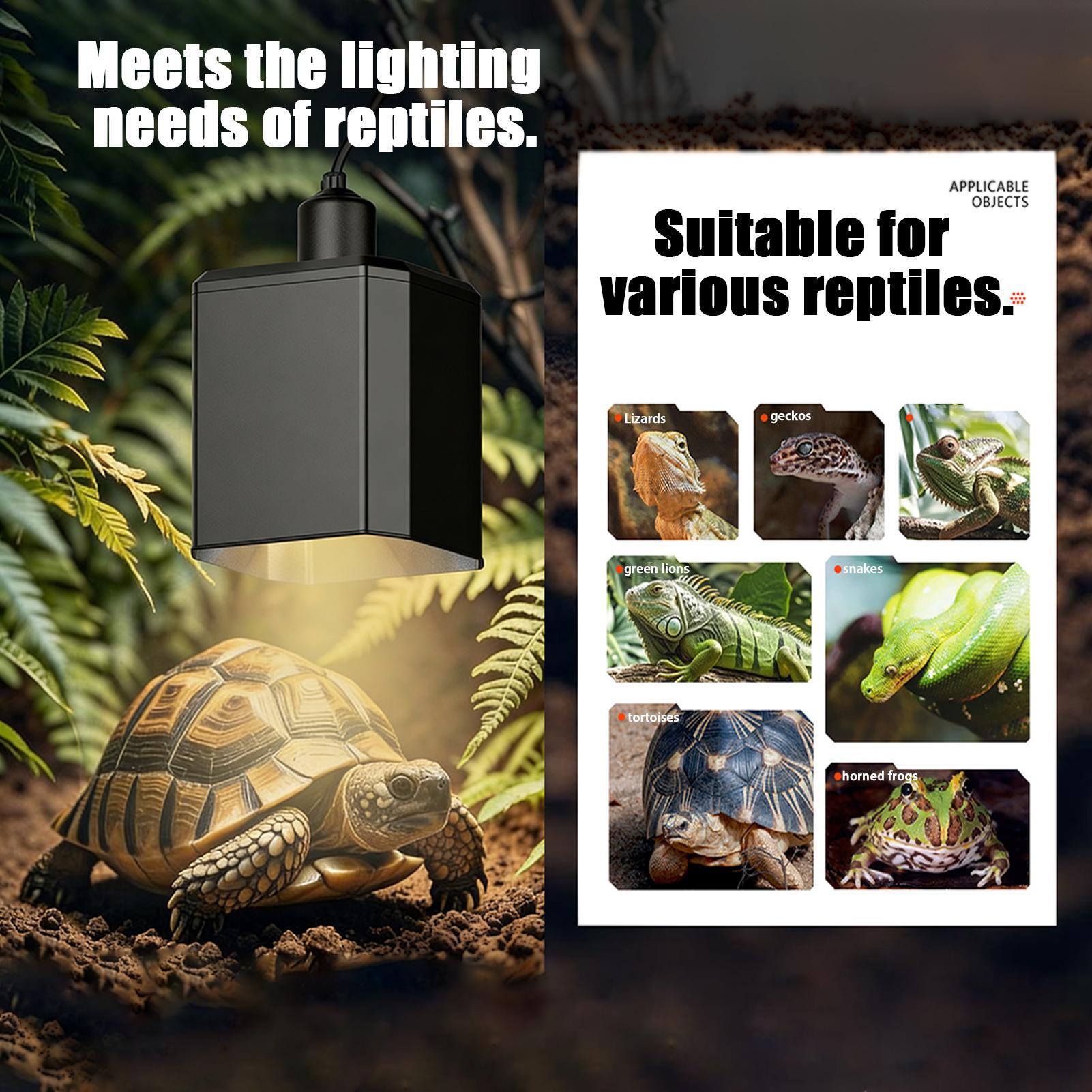 โคมไฟให้ความร้อนสำหรับสัตว์เลื - Gecko Lighting & Decor บทวิจารณ์และราคา
